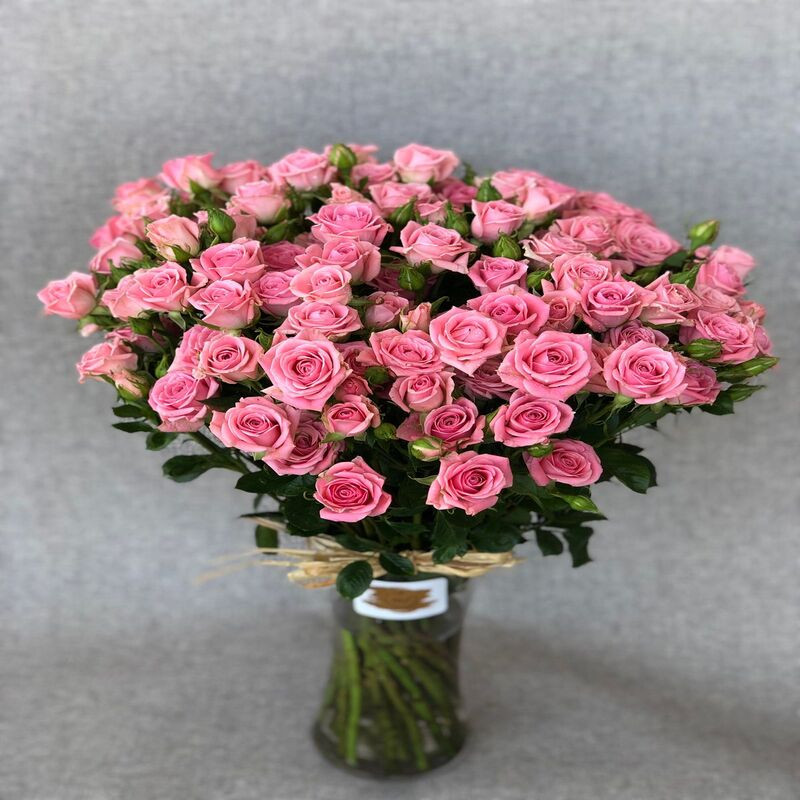 Roses